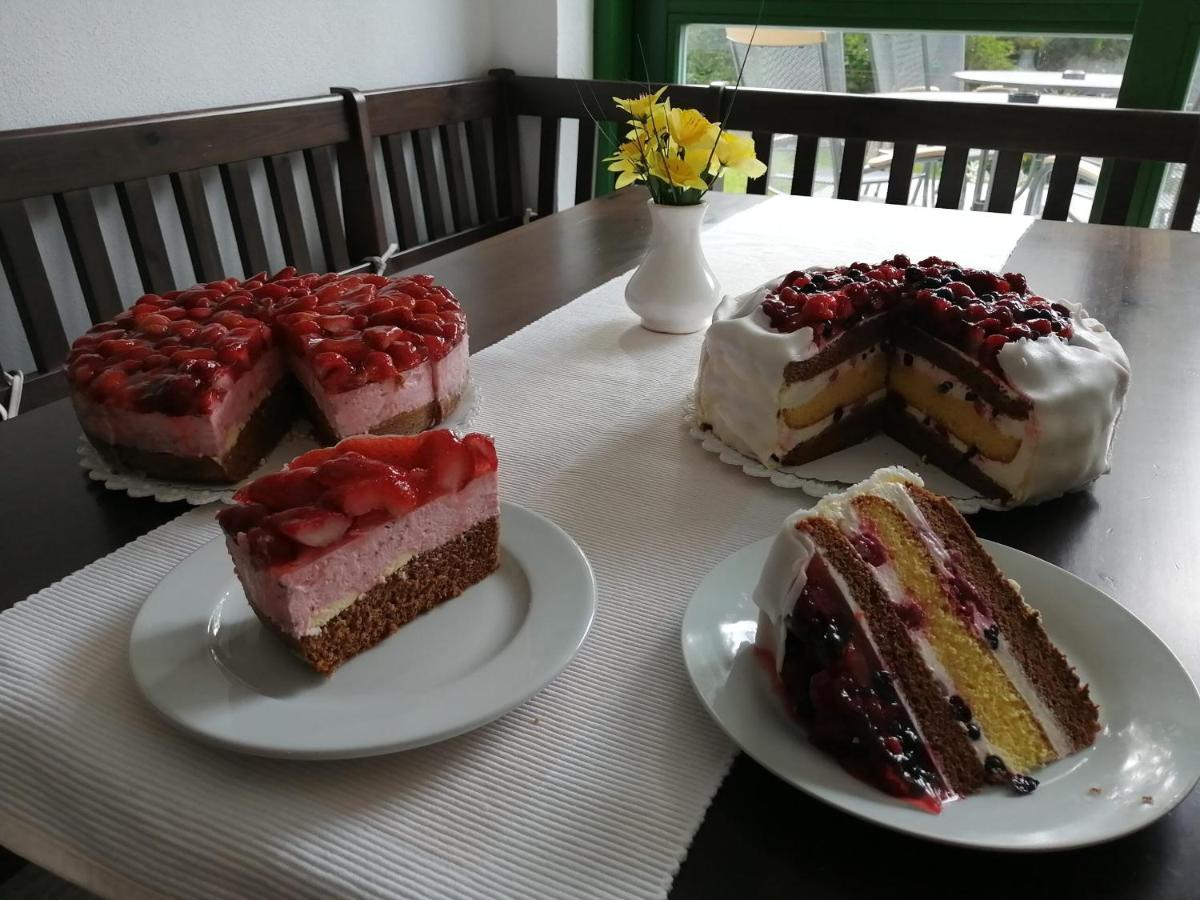Chata Rozhlas Železná Ruda 外观 照片
